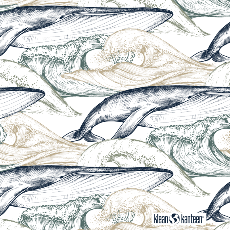 20oz-tkwide-with-twist-cap-ocean-day-n7 20oz_tkwide_bottle_seasonal_ocean_day_whale_artwork_square.png