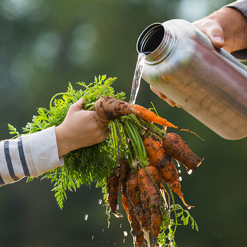 64oz-wide-with-loop-cap-t0 64oz_wide_mouth_bottle_carrots_rinse_square.jpg